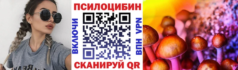Галлюциногенные грибы мухоморы  omg рабочий сайт  Новоалександровск 
