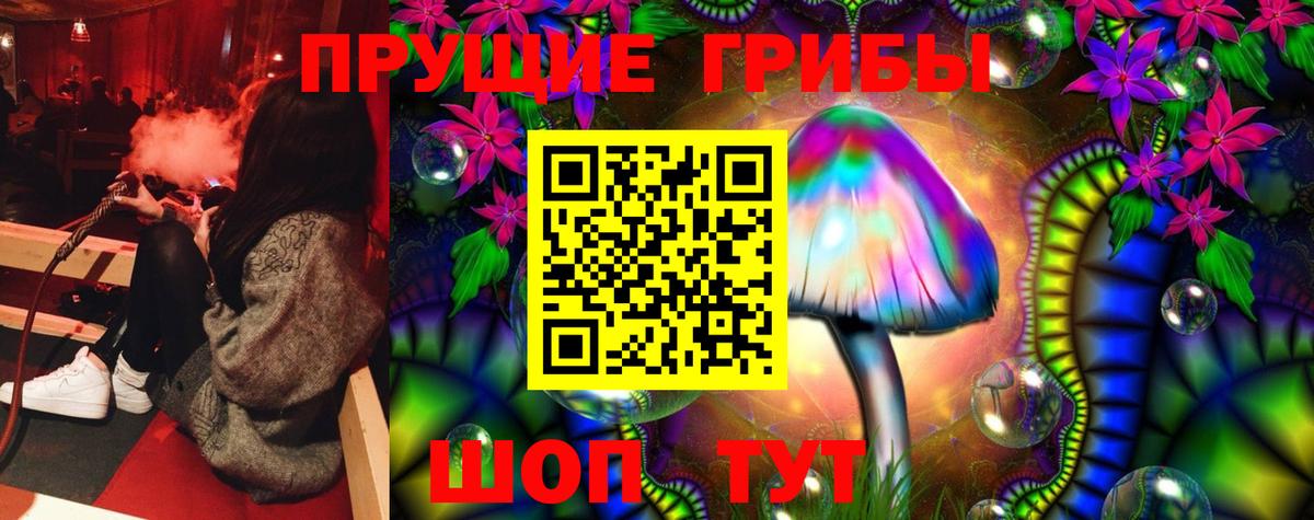 Галлюциногенные грибы ЛСД Новоалександровск