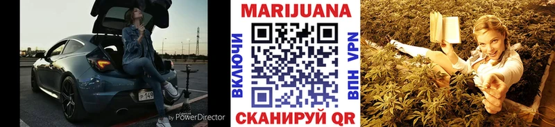 как найти наркотики  Новоалександровск  Каннабис марихуана 
